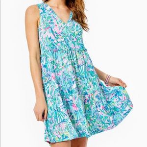 Lorina Swing Dress Lilly Pulitzer Dress